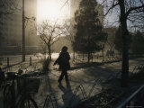 Woman Strides Past a Bike Rack on a Winter Morning in Beijing Photographic Print
