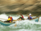 Whitewater Boating in a Dory on the Colorado River