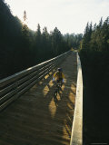 A Cyclist on the Mickelson Trail Bridge which Runs Through the Heart of the Black Hills