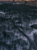 Twilight View from Above Snow-Covered Central Park