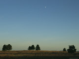 Moonrise Above Custer State Park
