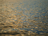 Buy Dusky Sunlight Reflecting on the Sea Surface at AllPosters.com