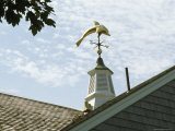 Buy A Dolphin Weather Vane Atop a Cupola at AllPosters.com