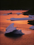 Buy View of Icebergs in Sea Colored Red by the Sunset at AllPosters.com