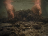 Buy Oil Will Not Sink Without Added Weight at AllPosters.com