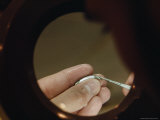 Buy Salmon Fry Released in the Oil Spill Cleanup Will be Studied for Effects and Contamination at AllPosters.com