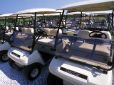 A Fleet of Carts Awaiting Avid Golfers