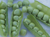 Buy A Close View of Peas in Their Pods at AllPosters.com