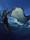 A Diver Having a Close Encounter with a Southern Stingray