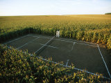 Buy A Tennis Court Carved from a Cornfield at AllPosters.com