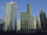 View of Some Chicago High-Rise Buildings; the Wrigley Building is in the Center