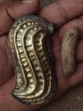 Buy A Gold Peanut from the Warrior-Priests Tomb at AllPosters.com