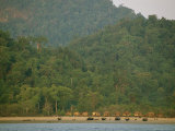 Buy Beached Kabangs with Temporary Houses in the Background at AllPosters.com