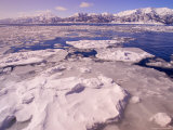Buy Floating Sea Ice and Mountains off Coast of Hokkaido, Japan at AllPosters.com