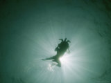 Buy Underwater View of Swimmer and Turtle Silhouetted against the Sun at AllPosters.com