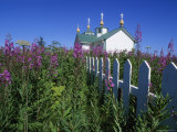 Buy Russian Orthodox Church, Built in 1901, with Fireweed Flowers in Foreground at AllPosters.com