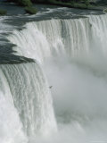 Buy Bird Flies Past American Falls at AllPosters.com