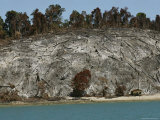 Buy Moken Beach Hut Below a Tree-Bare Cliff at AllPosters.com