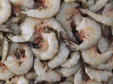 Close-Up of a Pile of Prawns, Karachi Port, Pakistan