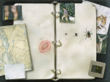Buy This Artwork is Called Lyme Disease Trail at AllPosters.com