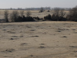Holes in the Ground Mark a Black-Tailed Prairie Dog Town