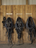The Tack Room at the Saddleback Ranch in Colorado, Saddleback Ranch, Colorado