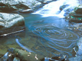 Buy Savage Gulf, South Cumberland State Park, Tennessee, USA at AllPosters.com