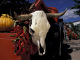 Buy New Mexico, USA at AllPosters.com