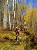 Buy Mountain Bike Race, Methow Valley, Washington State, USA at AllPosters.com