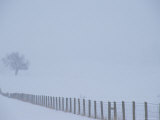 Fauquier County, Virginia, USA