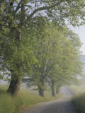 Hyatt Lane, Cades Cove, Great Smoky Mountains National Park, Tennessee, USA