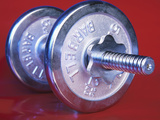 Buy Steel Dumbbell for Workout at AllPosters.com