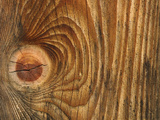 Close-up of Wood Texture