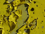 Close-up of Cracked and Torn Yellow Texture