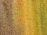 Close-up of Brown and Yellow and Green Streaks of Paint Canvas