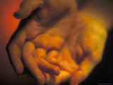 Buy Open Palms at AllPosters.com