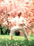 Buy Man Practicing Tai Chi Outdoors at AllPosters.com