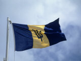 Buy National Flag of Barbados at AllPosters.com