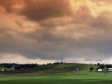 Buy Fields on a Farm, LA at AllPosters.com