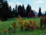 Buy Red Barn in Meadow, Castle Rock, Washington at AllPosters.com