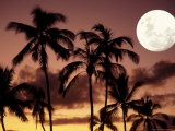 Moonrise, Oahu, HI