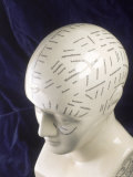 Buy Physiognomic Bust, Human Characteristics at AllPosters.com