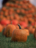 Pumpkins