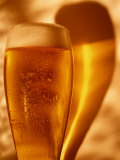 Glass of Beer and Shadow