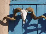 Ram's Head on Blue Door, New Mexico