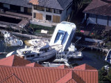 Buy Coral Gables, Florida After Hurricane Andrew at AllPosters.com