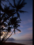 Buy Molokai One Alii Park, Kalohi Channel Beyond Palm at AllPosters.com