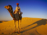 Buy Man Atop Camel, Thar Desert, Rajasthan, India at AllPosters.com