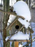 Snow Covering a Birdhouse