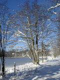 Winter Scenic, Michigan